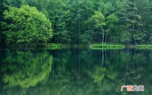 发改立项最新规定 发改委项目审批流程
