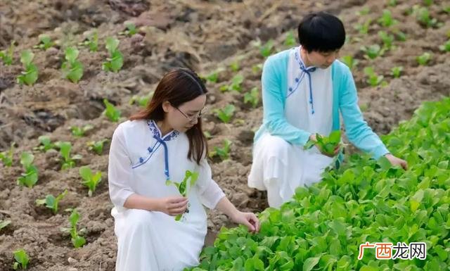 发改立项最新规定 发改委项目审批流程