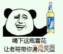 老哥吧,老哥说得对