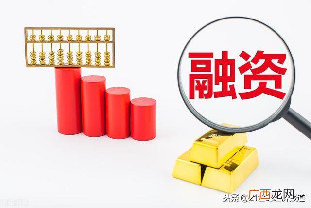 戏鱼公司,加戏 创业公司
