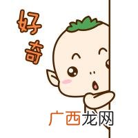 篮球馆目标顾客 syb篮球培训班创业计划书