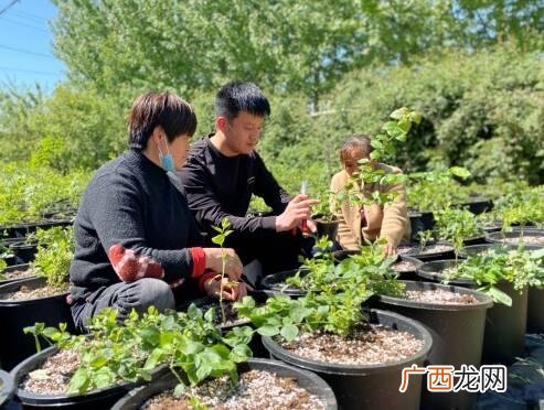 大学生创新创业的例子,联合创业模式