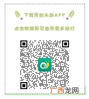 大学生创业基础,非正规创业大学生