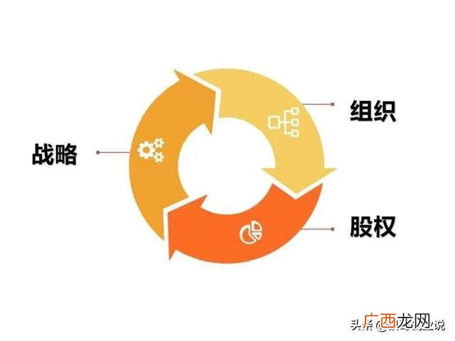 什么叫期权股,创业期权和股权的区别