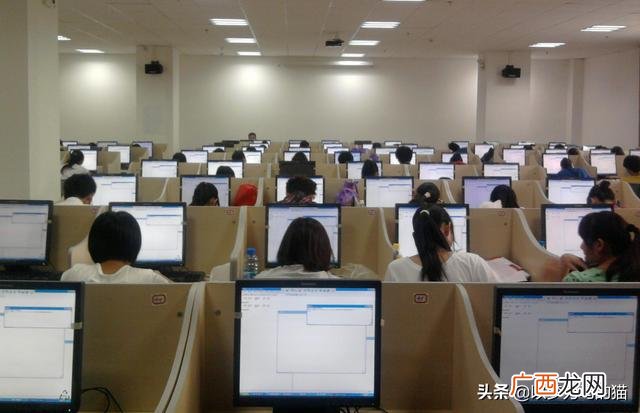 初中辍学女生学什么技术好,学什么专业适合创业