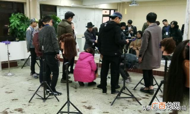 初中辍学女生学什么技术好,学什么专业适合创业