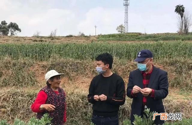 保定徐水609,徐水春雨创业基地