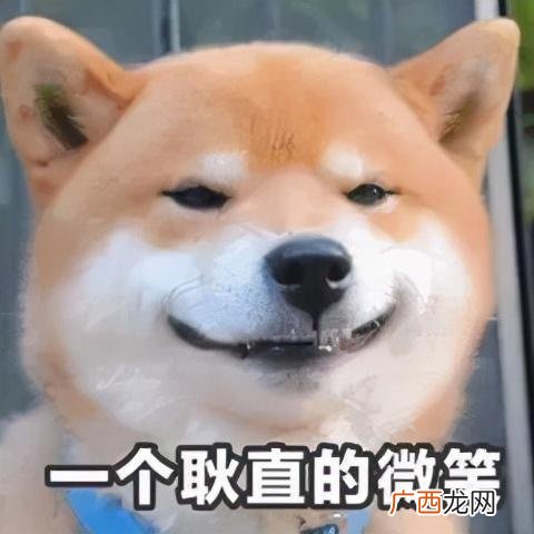 创业30多岁黄金年龄,创业黄金期