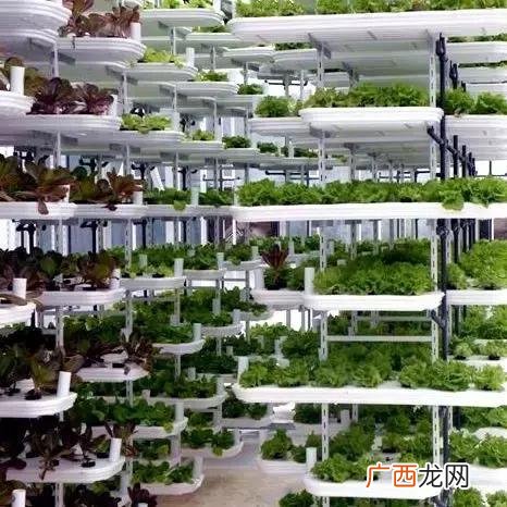 制氧厂哪个岗位好 菌菇厂普工是做什么的