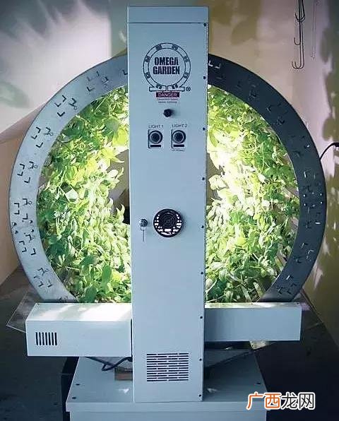 制氧厂哪个岗位好 菌菇厂普工是做什么的