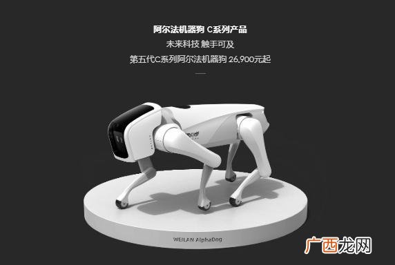 大学生新能源创业项目 假肢创业计划书