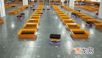 大学生新能源创业项目 假肢创业计划书