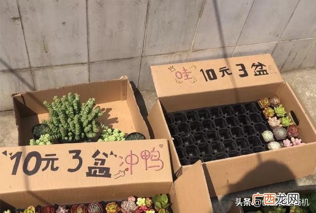 如何零元创业,可复制的创业项目