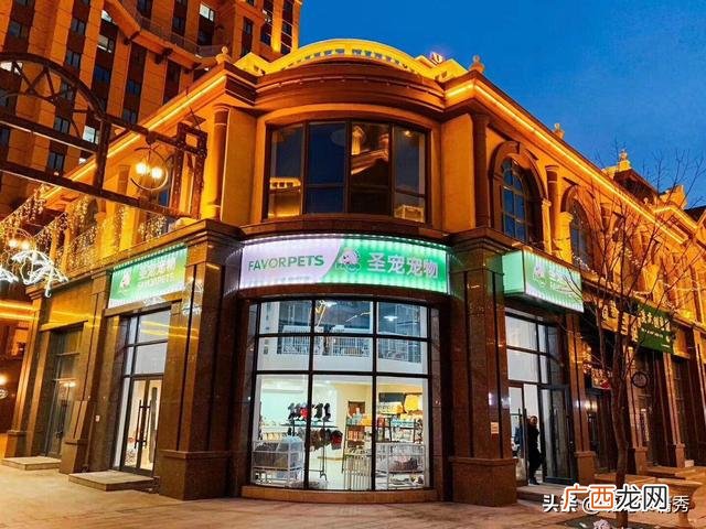 宠物创业商业计划书 宠物摄影店创业计划书