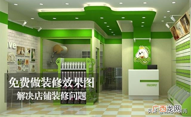 宠物创业商业计划书 宠物摄影店创业计划书