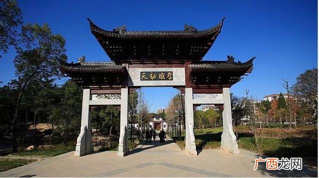 2021年枣阳市机场规划图,枣阳招商引资项目名称