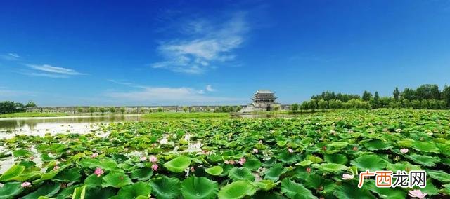 2021年枣阳市机场规划图,枣阳招商引资项目名称