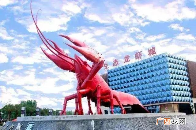 2021年枣阳市机场规划图,枣阳招商引资项目名称