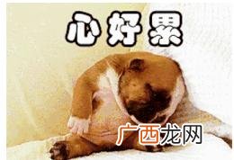 不加班知乎 不加班的工作力