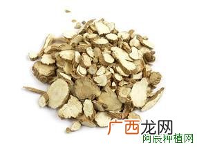 卡特兰盆栽怎么养？卡特兰如何栽培