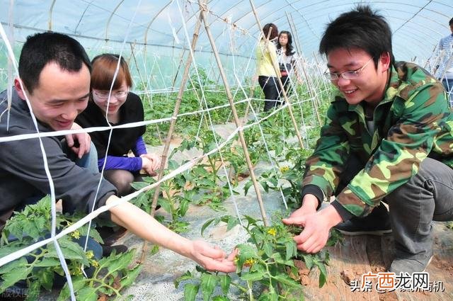 农民想创业什么项目好,想创业游戏项目