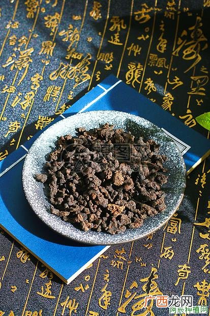 如何避免猫咪吃家中的植物
