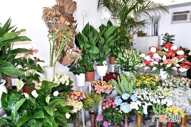 吸引人的鲜花店简介,花店策划书范文案例