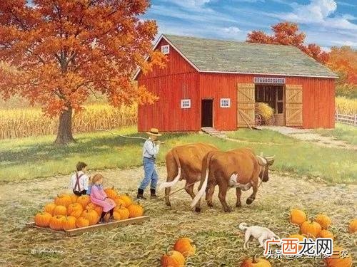 不起眼的暴利小生意 投资成本低的创业项目