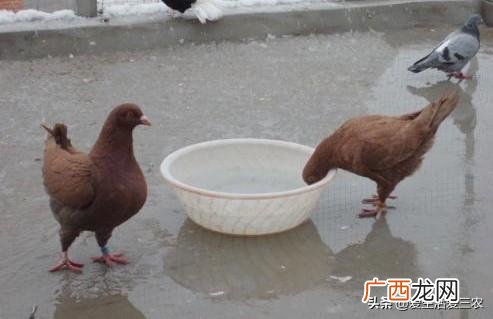 不起眼的暴利小生意 投资成本低的创业项目