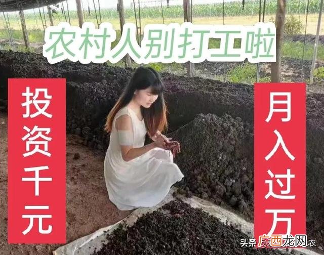 不起眼的暴利小生意 投资成本低的创业项目