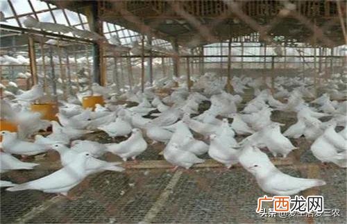 不起眼的暴利小生意 投资成本低的创业项目