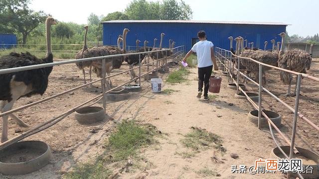 南县别墅农庄地址,武汉创业农庄别墅