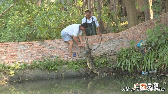 南县别墅农庄地址,武汉创业农庄别墅