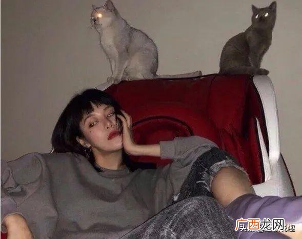 天蝎座职场能力,天蝎座适合打工还是创业