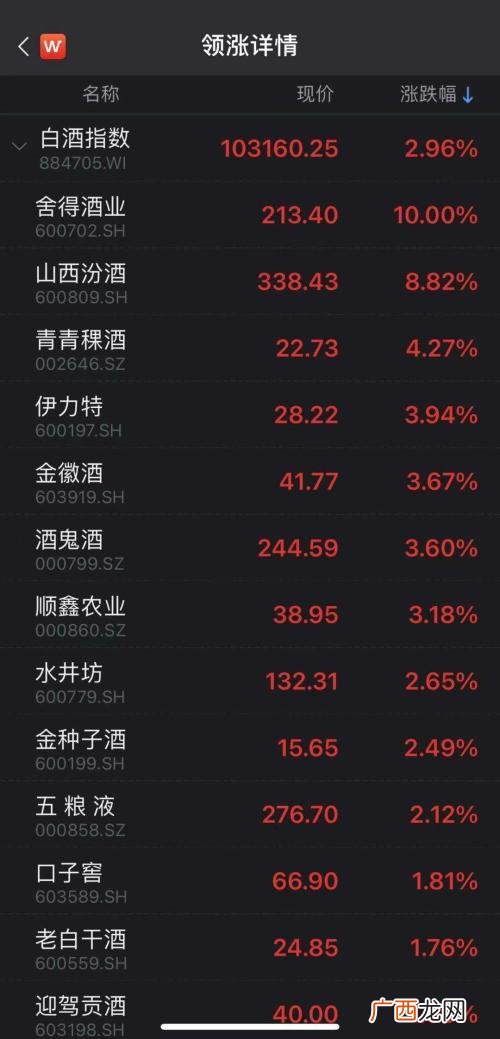 创业板涨停20个点,创业板涨幅20%