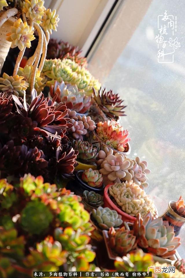 基督徒做生意不顺利,为做生意创业祷告
