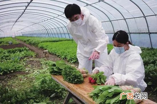 创业项目 吉林创业项目