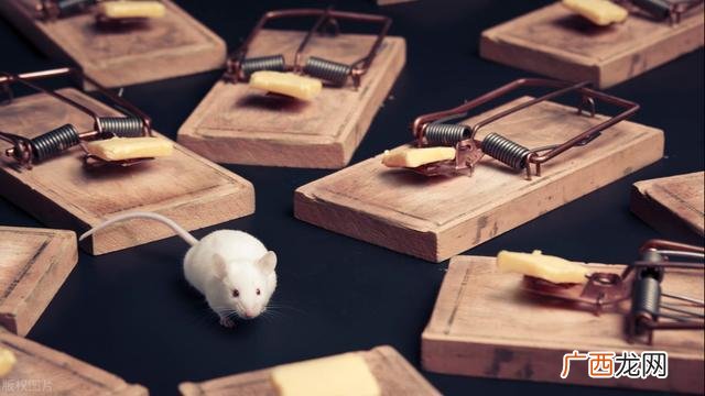 创业成为老赖,老赖创业者自述
