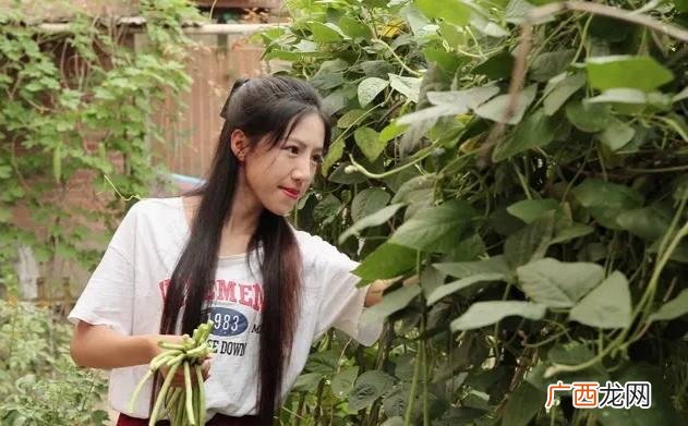 创业年收入50万的项目 创业投资项目