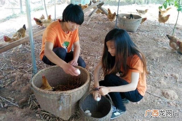 农民工返乡创业申请书,农民工创业用地申请书
