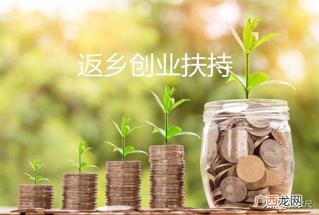 农民工返乡创业申请书,农民工创业用地申请书