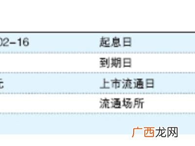 南京项目数据分析师事务所 项目偿债履约能力评级报告