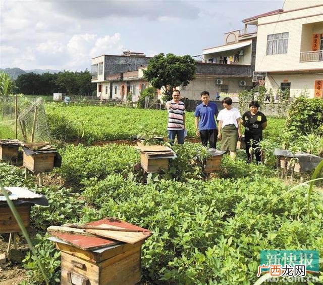 办一个小型食品加工厂 开一家食品加工厂需要什么条件