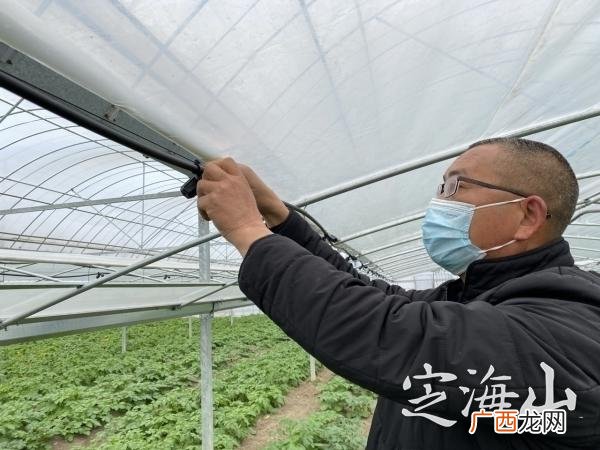 大棚自动喷药设备,全自动大棚