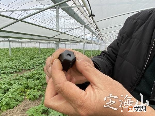 大棚自动喷药设备,全自动大棚
