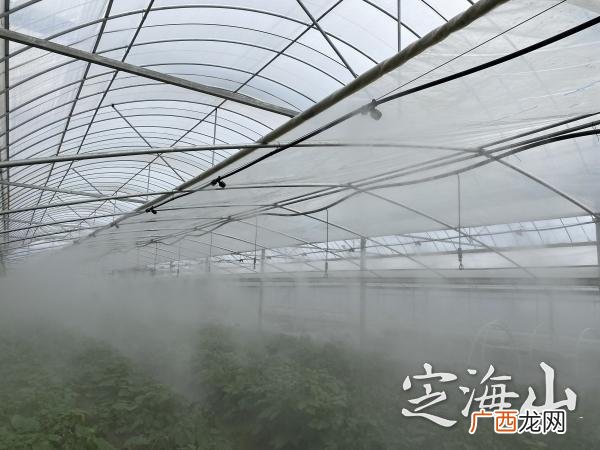 大棚自动喷药设备,全自动大棚