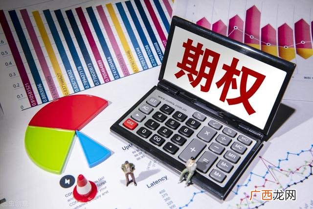分析报告格式,期权投资分析报告范文