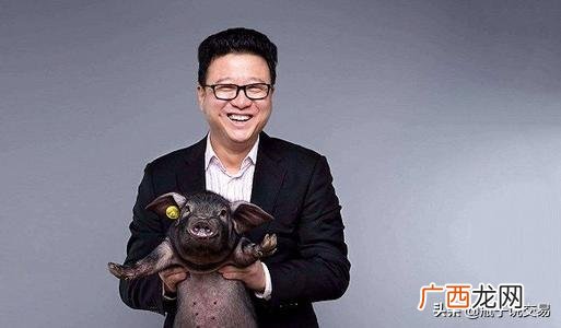 丁磊 网易 养猪 丁磊创业过程