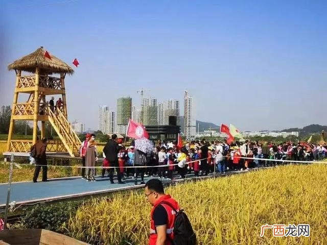 创业农场规划图 创业农场在哪