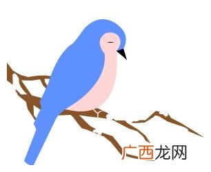 创业农场规划图 创业农场在哪